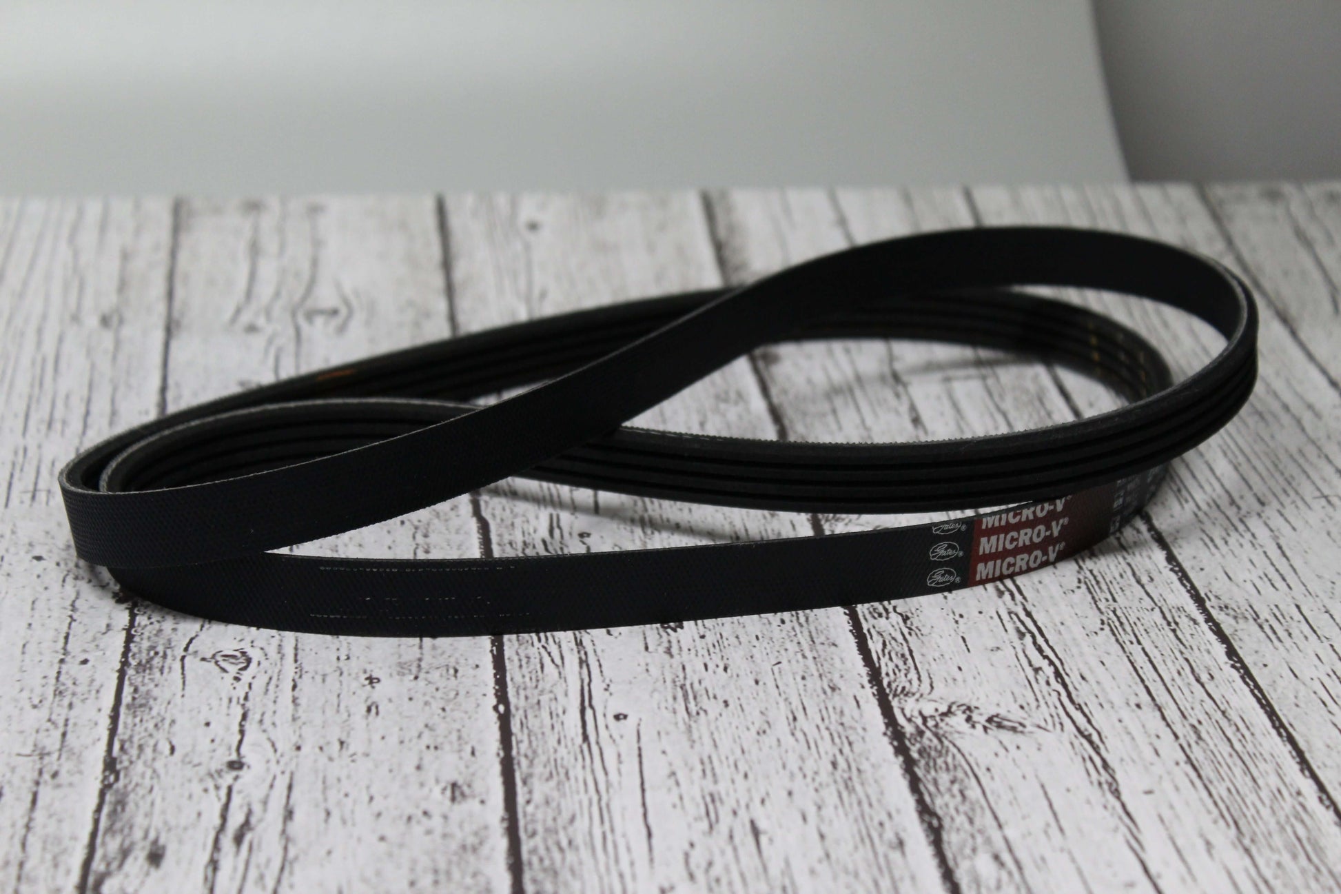 4 Rib Gates Belt – TortSport USA